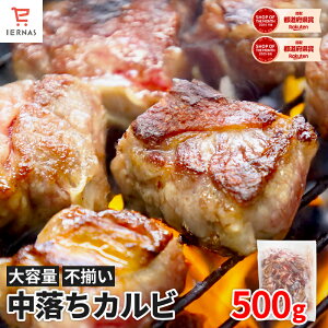 Jr Jr 500g` K o[xL[p ē Zbg  o[xL[ e bbq H ⓀHi 񂹃O