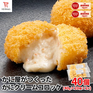 ɉɃN[RbP 40g×20×2 JjN[ RbP Jj N[RbP ɃN[RbP JjN[RbP Ⓚ ⓀRbP N[ g邾 