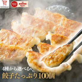 【4種から選べる餃子たっぷり100個】 餃子計画 餃子(50個×2袋) 餃子 生餃子 冷凍餃子 冷凍生餃子 冷凍食品 送料無料 国産素材 業務用 大容量 お取り寄せ