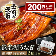 【200円OFFクーポン配布】 お中元 うなぎ 土用の丑の日 うなぎ 国産 2尾 浜名湖 2尾 ギフト 静岡県 浜名…