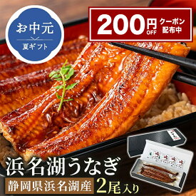 【200円OFFクーポン配布】 お中元 うなぎ 国産 2尾 浜名湖 2尾 ギフト 静岡県 浜名湖産 高級 鰻 うなぎ蒲焼｜1〜2尾入り (165g/200g)｜夏ギフト 御中元 お中元ギフト