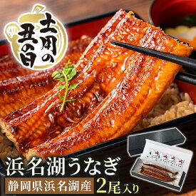 【500円OFFクーポン配布⇒7/4(土)20:00〜7/11(土)01:59】 お中元 うなぎ 土用の丑の日 うなぎ 国産 2尾 浜名湖 2尾 ギフト 静岡県 浜名湖産 高級 鰻 うなぎ蒲焼｜1〜2尾入り (165g/200g)｜夏ギフト 御中元 お中元ギフト 土用の丑の日国産