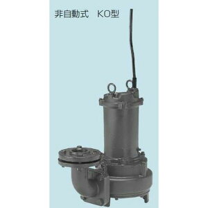 テラル ポンプ 排水」の人気商品一覧 | 安い商品を通販サイトから探す 