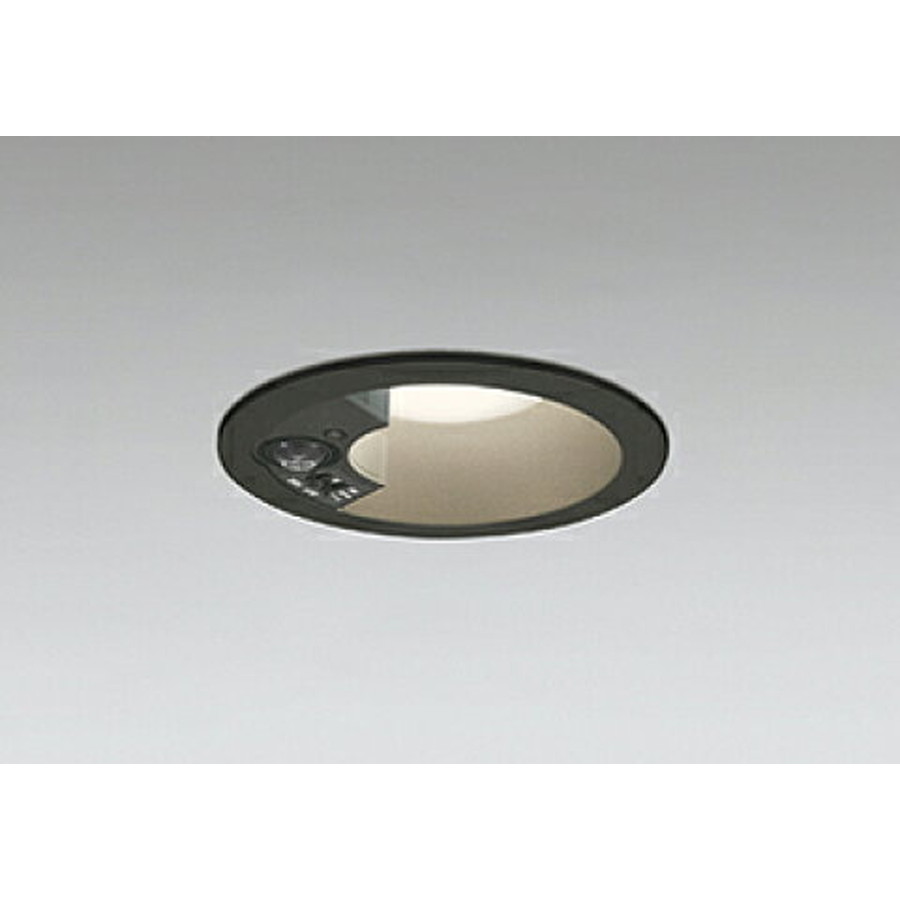 【楽天市場】【OD261840】オーデリック（ODELIC）LEDエクステリアライト ダウンライト : 家store