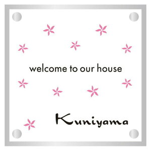 ێO^JM@\D@ADVANCE@PAINT COATAh@XyCgR[g