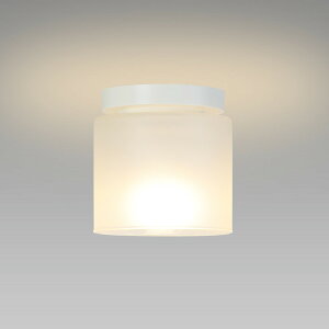 �z�^���N�X[SXM-LE171753L] LED���^�V�[�����O