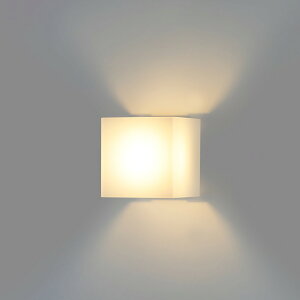 �z�^���N�X[SXW-LE171755L] LED�u���P�b�g