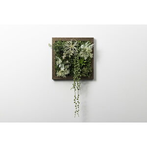 �A�����^�b�N�X[XGC001M8]SONOFlower Type A