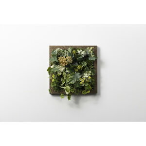 �A�����^�b�N�X[XGC003M8]SONOFlower Type C