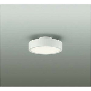 DAIKO����d�@[DCL-41963Y]���^�V�[�����O���C�g