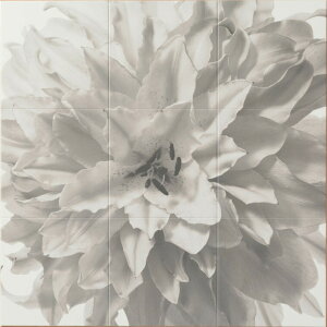 LIXIL[ECSF-9090M14]GRJbgZt