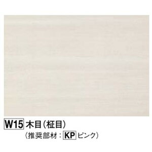 tNr[KAP2W15@]ʃAp[W