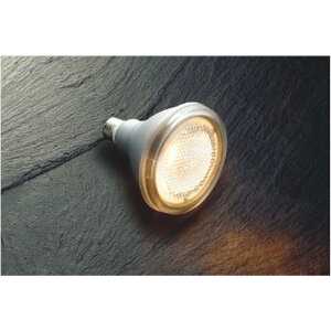 RCY~[AE55042]LEDv