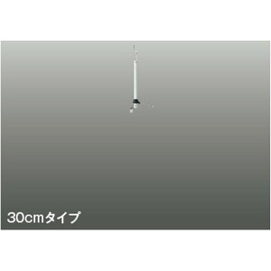 RCY~[AEE690173]pCv