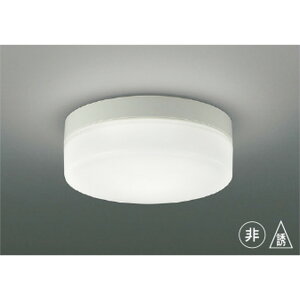 �R�C�Y�~[AR49374L]��퓔