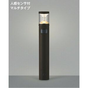 �R�C�Y�~[AU45498L]�G�N�X�e���A�@�|�[�����C�g�@�G�N�X�e���A