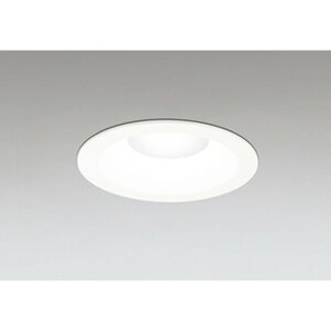 �I�[�f���b�N[OD261717R]�_�E�����C�g100W�N���X