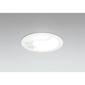 �I�[�f���b�N[OD261737R]�_�E�����C�g100W�N���X