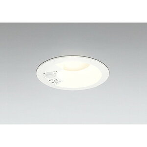 �I�[�f���b�N[OD261742R]�_�E�����C�g60W�N���X