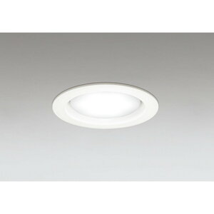 �I�[�f���b�N[OD361203NDR]�_�E�����C�g100W�N���X