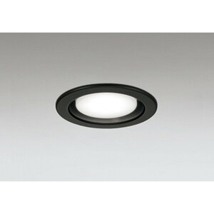 �I�[�f���b�N[OD361510NDR]�_�E�����C�g100W�N���X