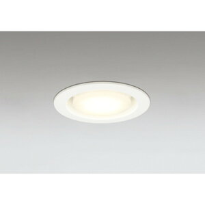 �I�[�f���b�N[OD361513BCR]�_�E�����C�g100W�N���X