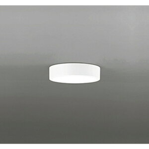 �I�[�f���b�N[OL251359R]�V�[�����O���C�g