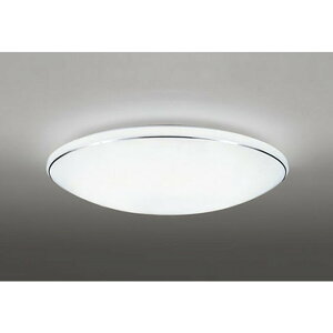 �I�[�f���b�N[OL251617R1]�V�[�����O���C�g