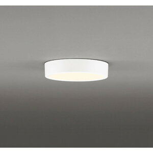 �I�[�f���b�N[OL251751R]�V�[�����O���C�g