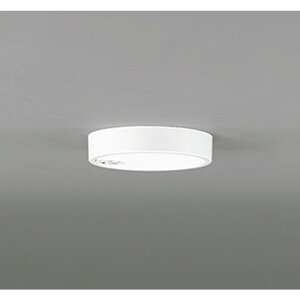 �I�[�f���b�N[OL251758R]�V�[�����O���C�g