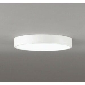 �I�[�f���b�N[OL251855R]�V�[�����O���C�g