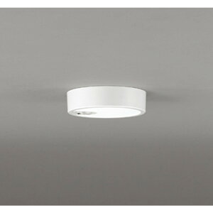 �I�[�f���b�N[OL251863R]�V�[�����O���C�g