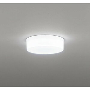 �I�[�f���b�N[OL291136R]�V�[�����O���C�g