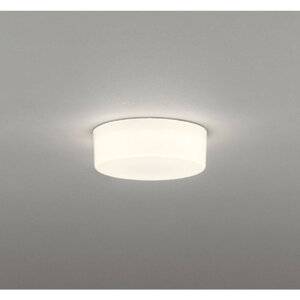 �I�[�f���b�N[OL291139R]�V�[�����O���C�g