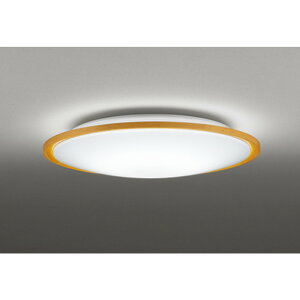 �I�[�f���b�N[OL291327R]�V�[�����O���C�g