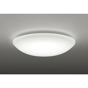 �I�[�f���b�N[OL291346NR]�V�[�����O���C�g