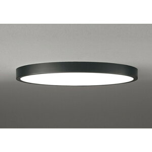 �I�[�f���b�N[OL291413BR]�V�[�����O���C�g