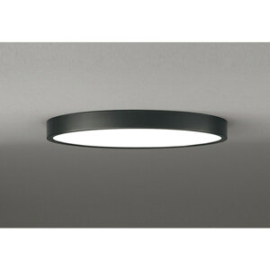 �I�[�f���b�N[OL291416BR]�V�[�����O���C�g