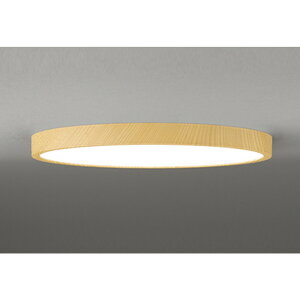 �I�[�f���b�N[OL291418BR]�V�[�����O���C�g