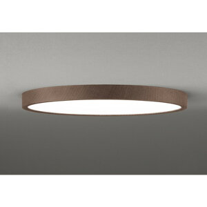 �I�[�f���b�N[OL291422BR]�V�[�����O���C�g