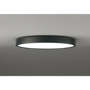 �I�[�f���b�N[OL291564BR]�V�[�����O���C�g