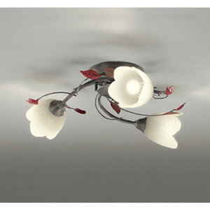 �I�[�f���b�N[OC257027LR]�V�����f���A