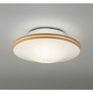 �I�[�f���b�N[OL011250LR]�V�[�����O���C�g