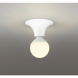 �I�[�f���b�N[OL218036LR]�V�[�����O���C�g