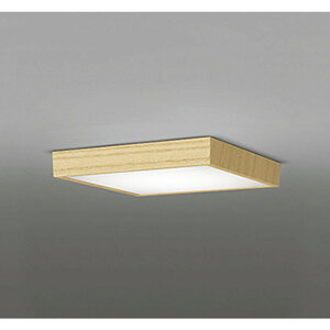 �I�[�f���b�N[OL251742R]�V�[�����O���C�g