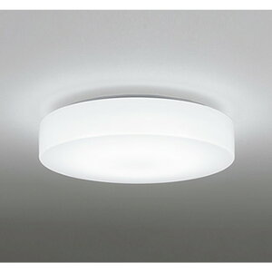 �I�[�f���b�N[OL291090NR]�V�[�����O���C�g