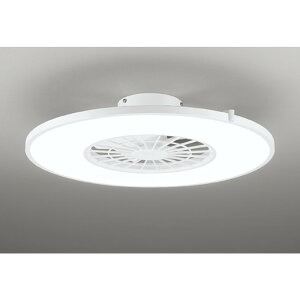 I[fbN[OL291274BR]V[OCg