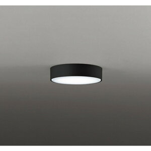 �I�[�f���b�N[OL291279NR]�V�[�����O���C�g