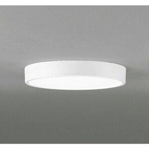 �I�[�f���b�N[OL291431BR]�V�[�����O���C�g