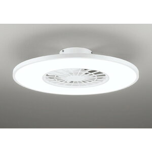 �I�[�f���b�N[OL291438BR]�V�[�����O���C�g